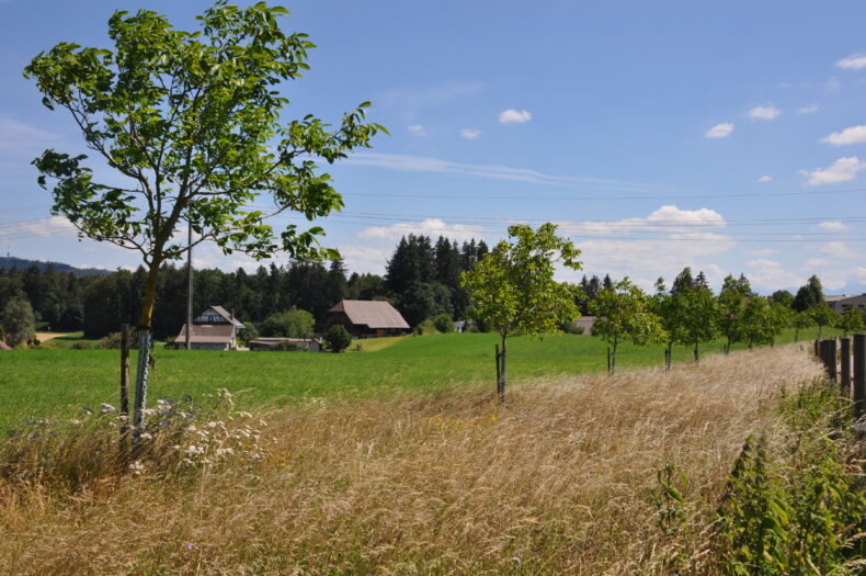 (c) Gfl-zollikofen.ch